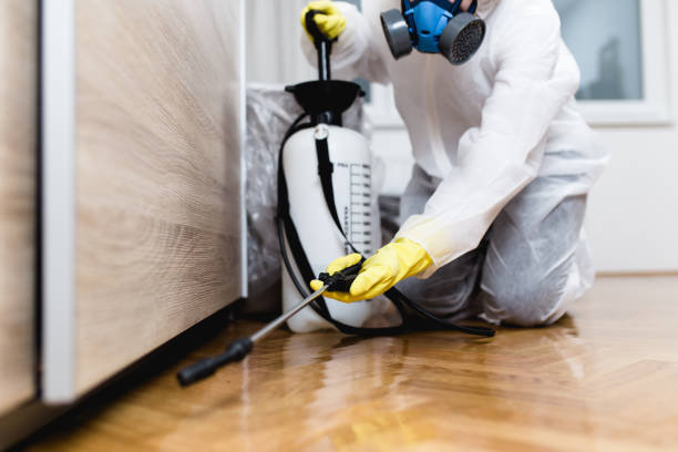 Best Cockroach Control Services  in Denham Springs, LA