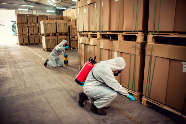 Best Affordable Pest Control Services  in Denham Springs, LA