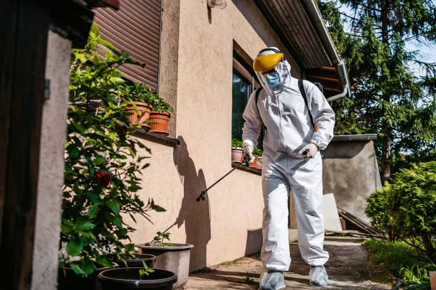 Best Bed Bug Extermination  in Denham Springs, LA