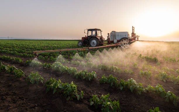 Reliable Denham Springs, LA Pest Control Solutions