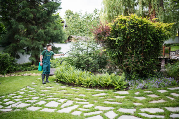 Best Insect Control  in Denham Springs, LA