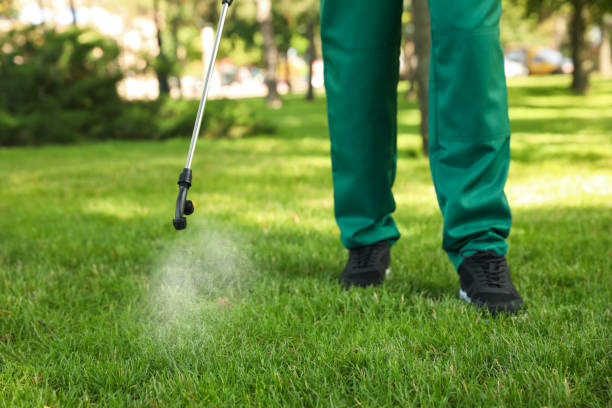 Best Best Pest Control Companies  in Denham Springs, LA