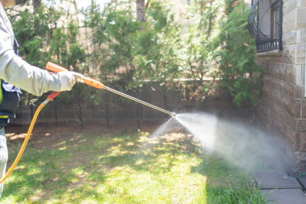 Best Local Pest Control Services  in Denham Springs, LA