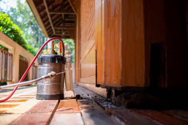 Best Termite Control Services  in Denham Springs, LA