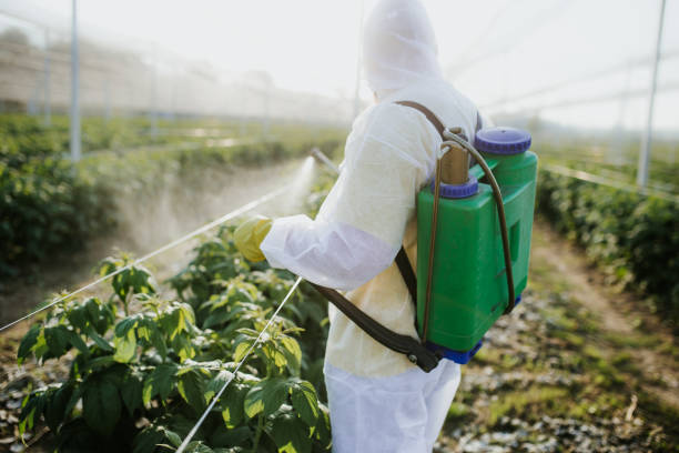 Pest Prevention Services in Denham Springs, LA